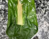 Foto del paso 6 de la receta: 619. Canelones de acelgas, quinoa y pescado (principal pescado)
