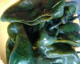 A picture of step 5 of Chiles Rellenos with Cream Sauce.