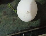 ऑमलेट (omelette recipe in Hindi) रेसिपी चरण 1 फोटो