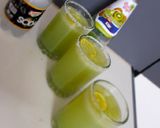 A picture of step 6 of Grapesica.