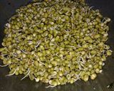 अंकुरित मूंग की सब्जी (Ankurit Moong ki sabzi recipe in Hindi) रेसिपी चरण 1 फोटो
