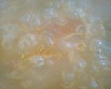 Foto del paso 3 de la receta: Sopa de Arroz