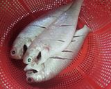 Hình bước làm 1 của món Cá Hường chiên sả ớt!