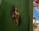 Foto langkah ke 4 dari resep Pepes Tahu Jamur.