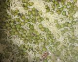 A picture of step 5 of Green Peas Pulao Matar Pulao.