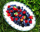 A picture of step 11 of Berry Tiramisu.