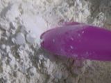 Jamur kripsi