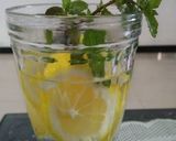 Foto langkah ke 3 dari resep Lemon mint.
