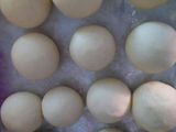 Donat empuk tanpa telur