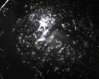 Cendol RATU kw oke punya - Step 6