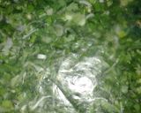 A picture of step 3 of Easy coriander mix.