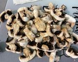 Une image de l'étape 2 de Champignons de Paris sautés à l’ail, oignon doux et coriandre fraîche.