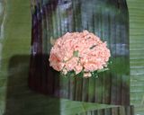 Foto langkah ke 2 dari resep Pepes Tahu Kemangi.