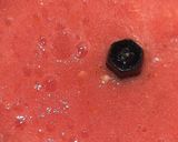 A picture of step 1 of Tomato semolina fingers.