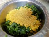 Dal palak