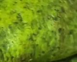 عکس مرحله 2 از دستور کرپ اسفناج