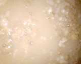 Foto del paso 1 de la receta: Pan Saborizado con Chorizo