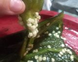 Foto del paso 1 de la receta: Rajitas con elotes