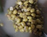 Foto langkah ke 2 dari resep Bubur Kacang Hijau.