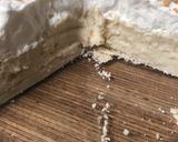 A picture of step 4 of Old fashioned coconut cream pie.