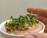 Foto del paso 4 de la receta: Brotes de mostaza: un jardín en mi cocina