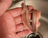 Foto del paso 4 de la receta: Anchoas prematuras con solo quince días en salazón