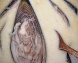 Gambar langkah 3 resipi Jantung pisang masak lemak ikan masin.