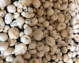A picture of step 1 of Makhana ladoo.