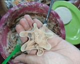 Foto langkah ke 5 dari resep Siomay Dimsum.