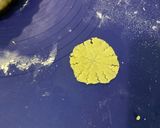 Une image de l'étape 10 de Tarte bananes et pistache.