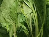 Sayur bening sawi hijau