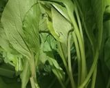 Foto langkah ke 1 dari resep Sayur bening sawi hijau.