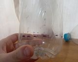 Foto del paso 2 de la receta: ¡Brotes de legumbres! en GERMINADOR casero REUTILIZABLE