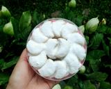 Foto langkah ke 7 dari resep Putri Salju.