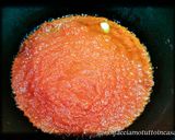 Foto del passaggio 1 della ricetta Cozze Ripiene al Sugo - Senza Glutine -