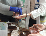Foto del paso 3 de la receta: Bombones