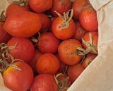 Foto del passaggio 5 della ricetta Finferli saltati con pasta fresca🍄‍🟫🍅🧄🧅🍝