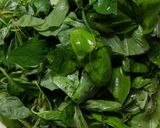 Foto del paso 1 de la receta: Pesto de albahaca