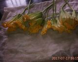 A picture of step 3 of Pumpkin flower flitters.