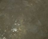 A picture of step 2 of Plain White Rice🍚.