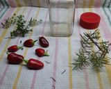 Foto del paso 5 de la receta: Ajíes P... P... (los de la mala palabra)