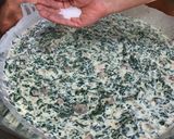 Foto del paso 11 de la receta: Lasagna de chapignones y espinacas