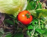 Hình bước làm 1 của món Salad xà lách trộn thịt bò