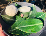 Foto del paso 1 de la receta: Empanada de oreja de león (Empand land saá vez León)