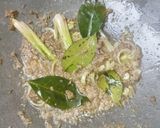 Foto langkah ke 2 dari resep Semur Daging dan Iga Sapi.