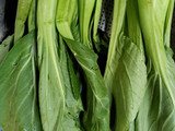 Tumis Jamur Kuping Pakcoy