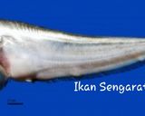 Foto langkah ke 5 dari resep Sup Tauco Ikan Lais.