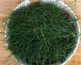 A picture of step 2 of Fennel pesto - vegan.