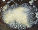 A picture of step 3 of Crispy corn.