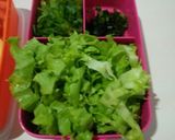 Foto langkah ke 5 dari resep Salad Kacang (Gado-gado).